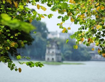 12 投稿タイトルがはいります。投稿タイトルがはいります。投稿タイトルがはいります。